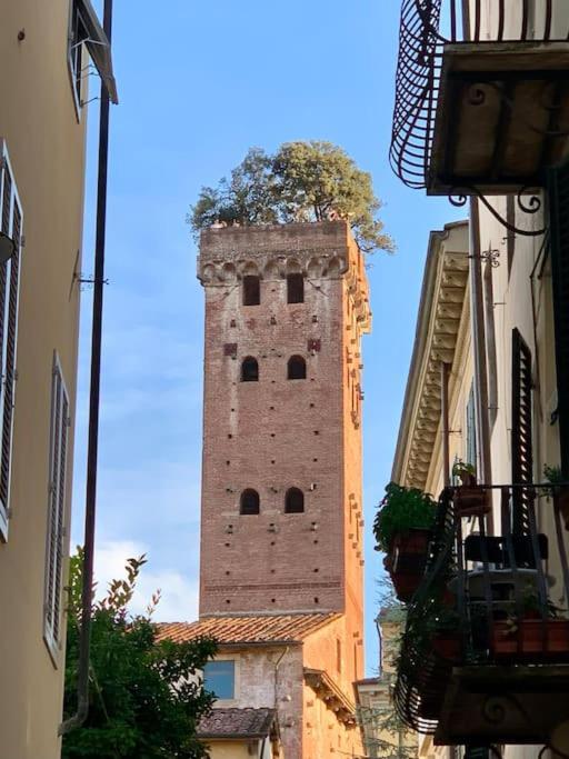 Via Nuova Apartments Lucca Dış mekan fotoğraf