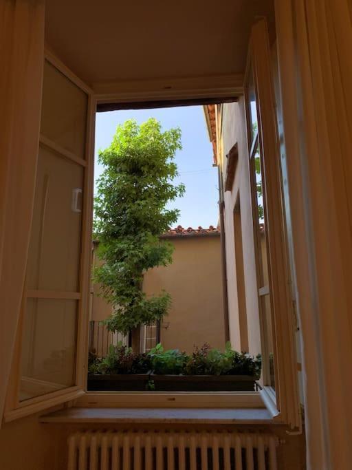 Via Nuova Apartments Lucca Dış mekan fotoğraf